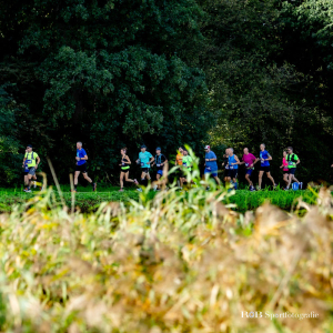 Rottemerenloop De Kieviten 2023